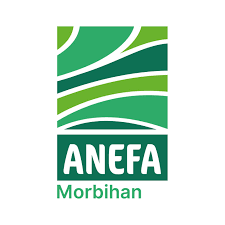 Logo ANEFA